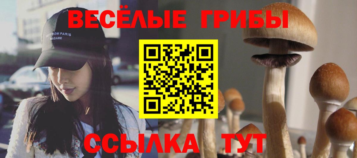 Псилоцибиновые грибы мицелий  Вход с VPN  Москва 