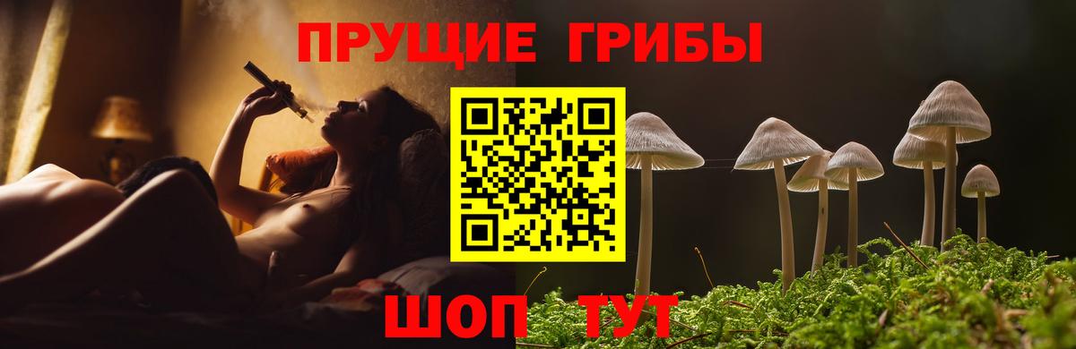 Галлюциногенные грибы Psilocybine cubensis Москва